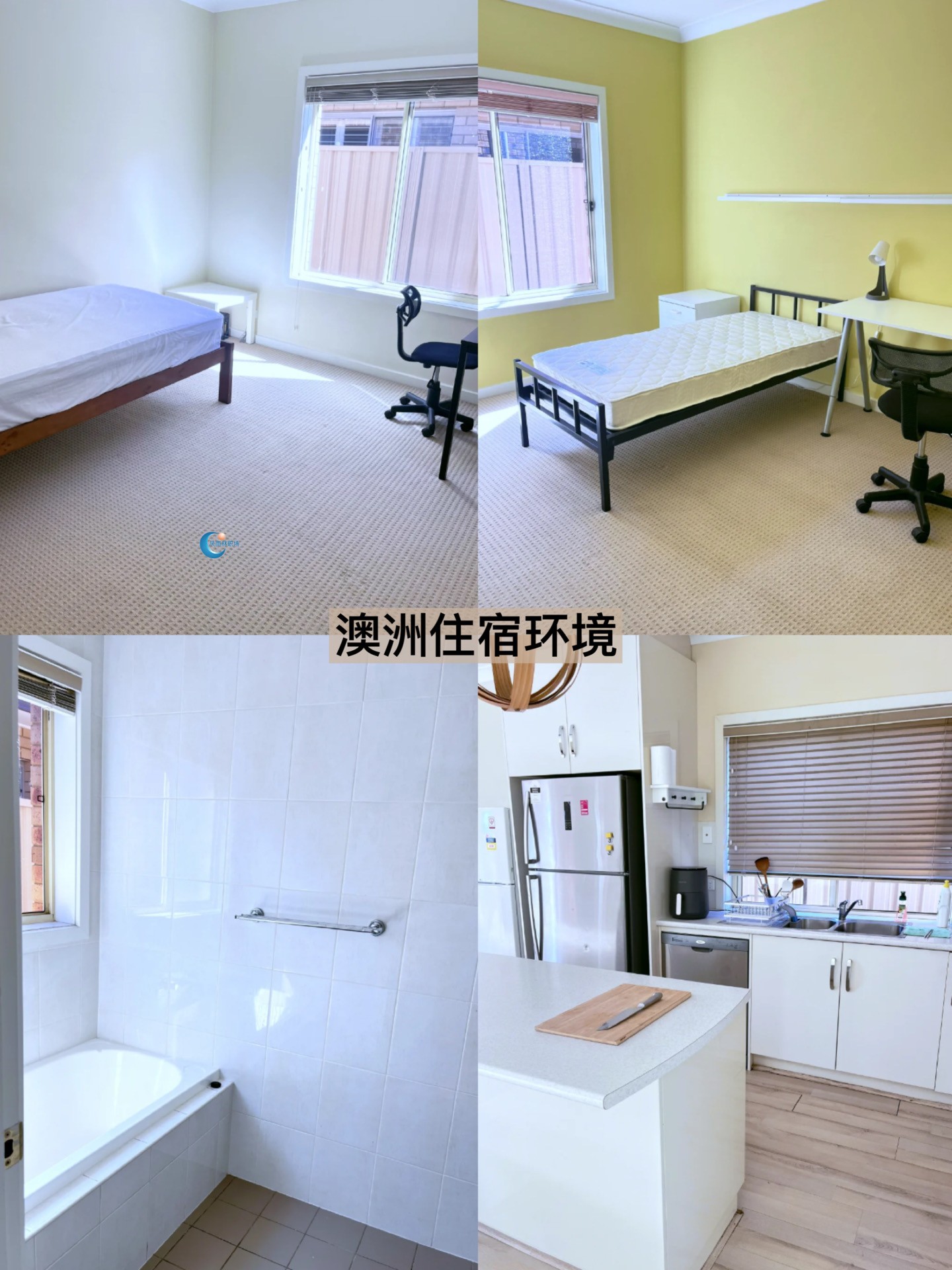 1742455626873890.jpg 87cdfa60d09a04ef766a99fbdb6caeb.jpg