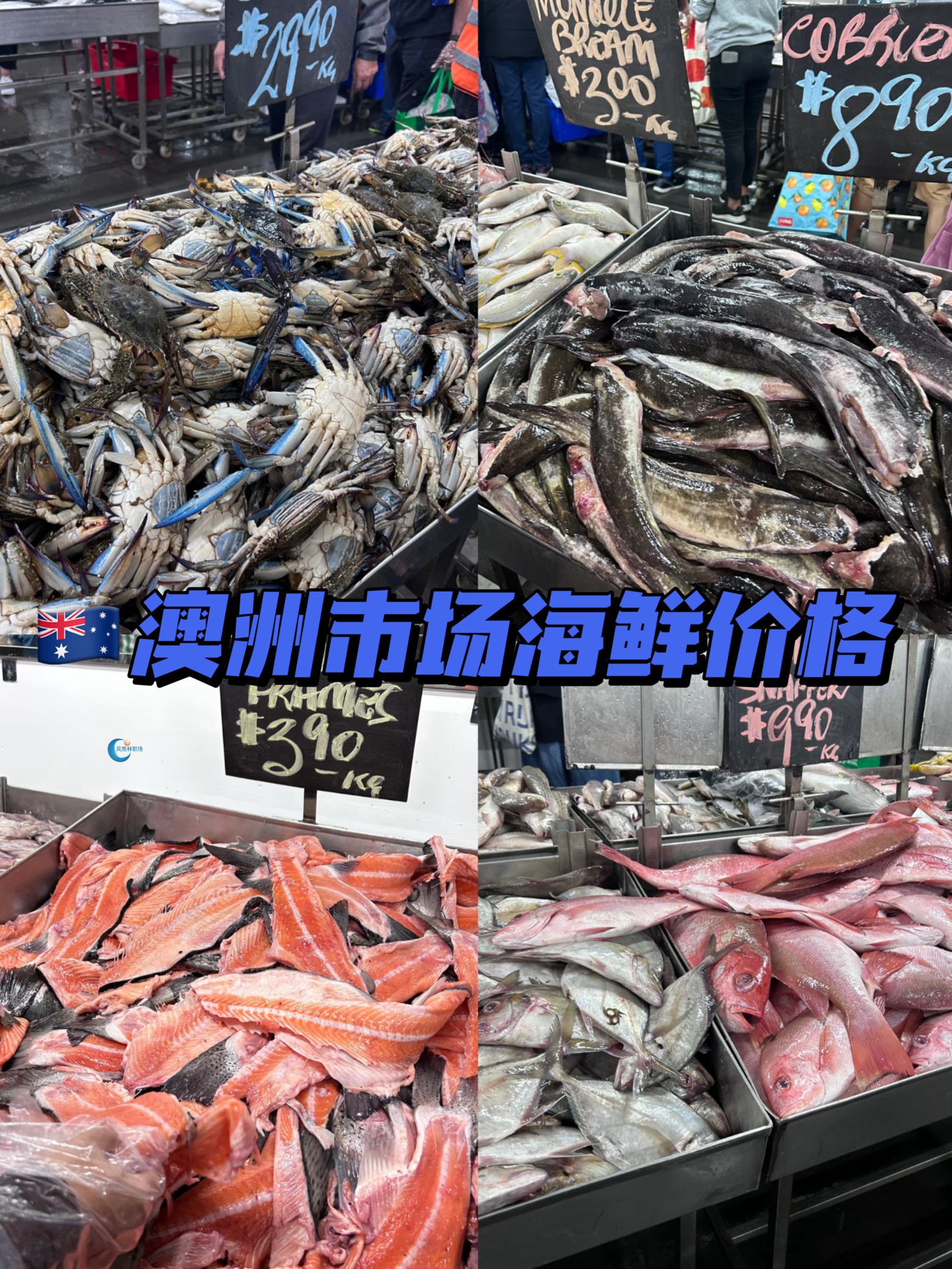 1742455992910025.jpg 21f289807d81f68f9aa509a0986b244.jpg